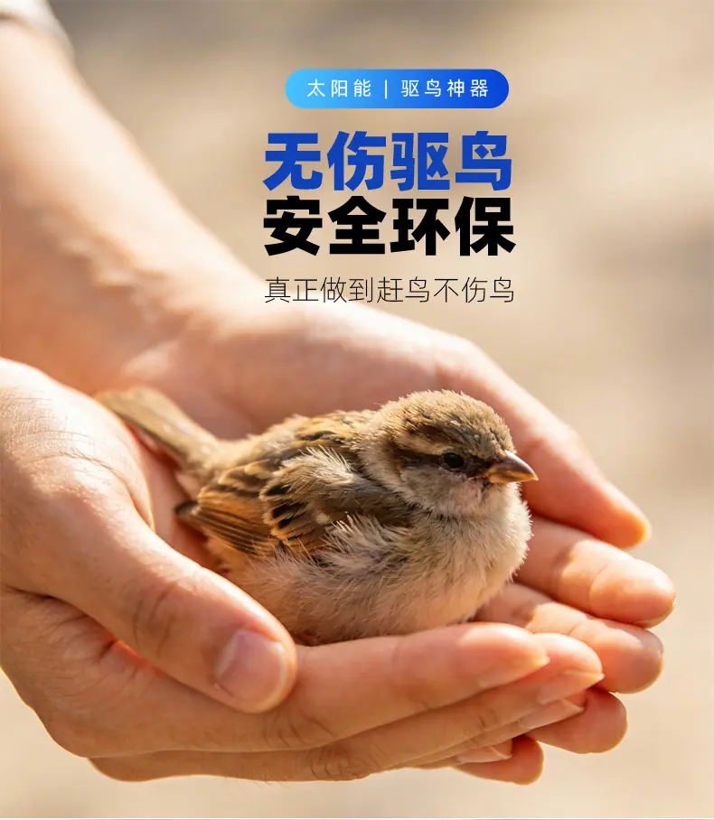 电镀大碗_10.jpg