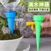 Haste de Suporte Pilar para Vasos de Flores, Combinação de Resina para Monstera, Plantas Resistentes ao Calor, Plantas Tartaruga Brancas, Hera Verde, Nova Coluna de Trepadeira para Plantas, Coluna de Musgo Sphagnum