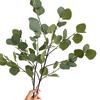Flor artificial de folha de maçã eucalipto folha de dinheiro casamento floral arranjo de flores decoração decoração de casamento fábrica atacado