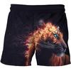 AliExpress novo 3D impressão digital feroz tigre padrão shorts meninos crianças casuais esportes praia calças