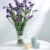Herramienta de Arreglo Floral de Plástico, Popular Transfronteriza en Amazon, Herramienta de Fijación para Macetas de Ramilletes de Flores, Gadget Invisible de Arreglo Floral en Espiral