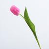Flores artificiales de alta gama Lan Kwai Fong se sienten hidratantes Adornos de tulipán para fotografía decoración del hogar flores artificiales venta directa de fábrica