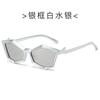 Gafas de Sol Poligonales Europeas y Americanas para Mujer, Lentes de PC, Gafas de Sol de Estilo Urbano para Mujer, Venta al por Mayor Transfronteriza
