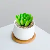 Combinación de Plantas Suculentas Pequeñas en Maceta para Interiores Suculentas Fáciles de Cuidar Plantas Verdes de Escritorio Flores con Maceta Paquete para Principiantes
