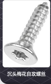 圆头梅花自攻螺丝_02_06.jpg