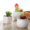 Maceta de Porcelana Blanca Carnosa Simple Creativa Blanca para Interior Planta en Maceta Diámetro Grande Maceta para Flores Carnosas