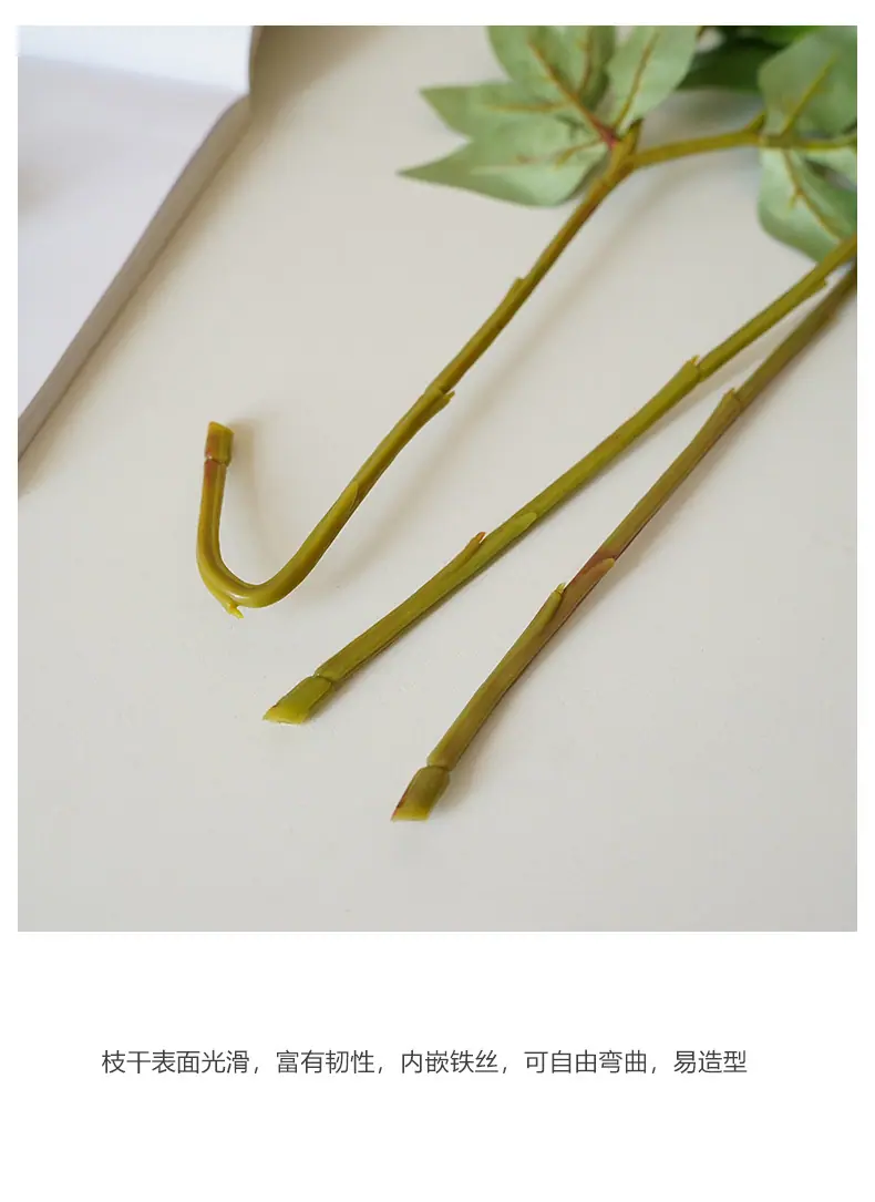 梵思2头芍药_12.jpg