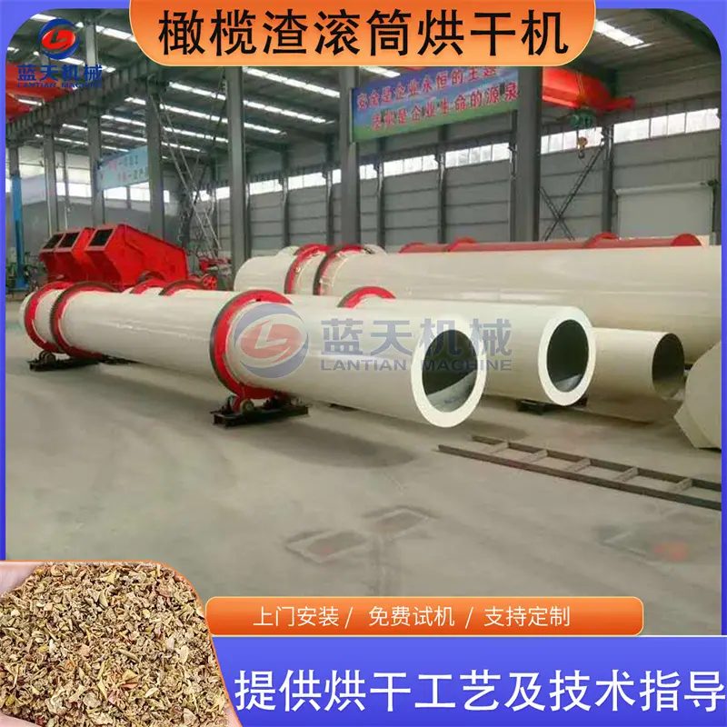橄榄渣lan-.jpg