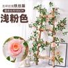 Enredadera de Rosas Artificiales, Enredadera de Flores Falsas, Enredadera Decorativa para Tubería de Aire Acondicionado, Revestimiento de Pared de Plástico de Alta Gama