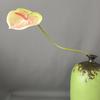 Algodón de Silicona Imitación Rojo Palma Flor Grulla de Fuego Fuente Extranjera Nórdico ins Sala Modelo Hogar Hotel Decoración Boda