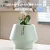 Maceta de Cerámica con Plato para Uso en el Hogar, Exquisita Estilo Ins Blanco Lujo Ligero Minimalista Estilo Crema Maceta para Orquídeas Suculentas