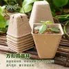 Venda direta do fabricante: Copos Descartáveis Espessos de Polpa de Papel para Mudas, Vasos de Polpa de Papel, Vasos Ecológicos e Biodegradáveis para Suculentas, Vegetais e Flores
