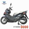Coche musculoso Wolf aplicable a Qianjiang Hong 150city Versión City parachoques anticaída parachoques anticolisión modificación
