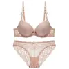 Lingerie sexy de renda estilo francês transfronteiriça para mulheres, com decote em V profundo, suporte lateral e design push-up para realçar o busto e criar um visual mais cheio
