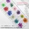 Estilo Ins japonés flor seca para uñas joyería pétalos pequeños Cielo Estrellado 12 rejillas colorida encaje flor decoración de uñas flor