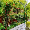 Suporte de Flores em Arco de Ferro Forjado Treliça para Plantas Trepadeiras Suporte para Flores de Rosa de Jardim Suporte para Plantas Clematis Pothos Portão de Flores para Exterior