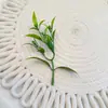 Plantas Aquáticas Artificiais e Acessórios Verdes, Acessórios de Folhas de Plantas Falsas, Materiais DIY para Paisagismo, Decoração de Broche de Eucalipto de Três Galhos