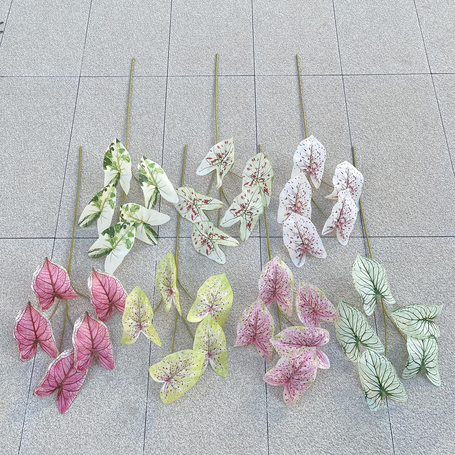 7色系 色卡(花溪谷主图).JPG