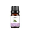 Óleo essencial único transfronteiriço aromaterapia óleo essencial beleza aromaterapia massagem fragrância natural fragrância diária frasco de óleo essencial de planta