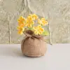 Bolsa de la Suerte Tejida a Crochet Hecha a Mano Transfronteriza Plantas Pequeñas en Maceta Muebles para el Hogar Decoración de Rosa Tejida de Lana Plantas en Maceta Flor Simulada