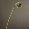 Bolas de diente de león de plástico artificial, decoración del hogar estilo nórdico, ramos de boda para hotel, accesorios de fotografía, venta al por mayor