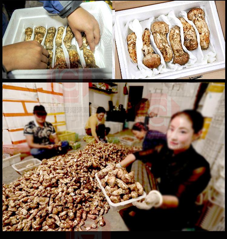 组合详情_12.jpg