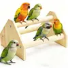 Soporte para Loro Mascota Pollo Loro Soporte Gallo Gallina Loro Pájaro Soporte
