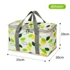 Caja Térmica, Bolsa de Picnic de Gran Capacidad, Cesta de Picnic Portátil Gruesa con Película de Aluminio para Exteriores, Cesta de Picnic Plegable para Camping