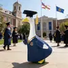 Nuevo producto transfronterizo: ropa de ganso para la temporada de graduación, porche, césped, patio exterior, patio interior y ganso de césped