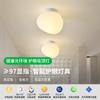 Luces de Pasillo, Lámparas de Corredor, Lámparas de Escalera Lunares Creativas Minimalistas Modernas, Lámparas de Techo para Vestíbulo Balcón 378L