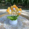 Producto Terminado: Girasol, Rosa, Lirio del Valle, Tulipán, Planta Pequeña en Maceta Tejida a Mano con Hilo, Decoración de Oficina, Adorno para Coche, Regalo