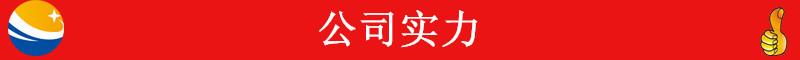 未标题-1410_副本公司实力