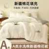 Colcha de Algodón de Xinjiang Clase A Colcha de Primavera y Otoño Colcha para Estudiantes Núcleo de Colcha Engrosado Cálida de Invierno Colcha de Aire Acondicionado Colcha de Cama Doble Universal para las Cuatro Estaciones