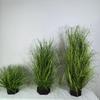 Hotel jardinería canaleta decoración planta artificial césped artificial cebolla caña espadaña césped artificial planta verde fabricante
