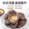 Champiñones Shiitake Secos, Peso Neto Sin Desecante, 500 g, Champiñones Secos Frescos de Especialidad para Uso Comercial en Sopa