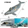 Simulación de cognición infantil educación temprana Penaea Monodon camarón tigre acuático langosta de agua dulce animal modelo juguete adornos