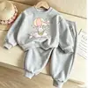 Conjunto de ropa para niña 2026 primavera nuevo elegante y lindo atuendo deportivo para niños pequeños, conjunto de dos piezas para primavera y otoño