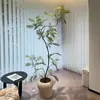 Escenario Arcoíris Marino Planta Oreja de Mono de Hoja Densa Planta Verde Artificial Planta Falsa de Pie para Piso Sala de Estar Planta Decorativa Flor Artificial