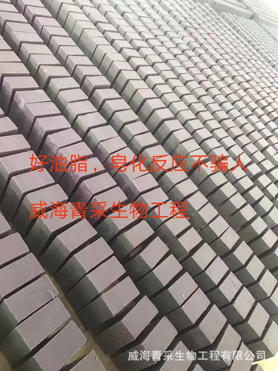 微信图片_20190511094144