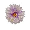Arreglo Floral de Flor Artificial de 8 cm, Aguja de Pino, Crisantemo Dorado, Flor para Peine, Guirnalda de Flores, Material para Tocados, Flor para Ropa, Sombrero