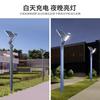 Luzes de jardim luzes de paisagem ao ar livre comunidade alumínio poste alto luzes parque led 3 metros 4 metros luzes de rua solares à prova d'água