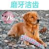 Fabricantes de juguetes para mascotas zapatillas de juguete para mascotas juguete para molares cuerda de algodón juguete para molares de oso de peluche venta al por mayor
