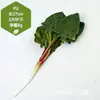Venta al por mayor directa de fábrica de todo tipo de verduras de tacto de alta simulación PU verduras falsas PU simulación pepino col
