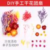 Kit de Materiales DIY de Abanico de Flores Secas Estilo Chino para el Día de la Madre, Actividades de Calentamiento, Abanico de Palacio Estilo Antiguo, Abanico de Flores Eternas Hecho a Mano