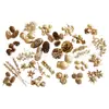 Chapeleiro Maluco [Frutas Secas Douradas de Natal] Casamento Artesanal DIY Decoração de Guirlanda de Natal Planta Natural Flores Secas