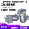 Motor Reductor de Engranajes para Transportador de Virutas CH/CV100W/200/400W Monofásico 220V380V