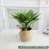 Simulação Planta Verde Bonsai Sisal Folha Grande Gladíolo Planta do Deserto Tropical Janela Paisagismo Decoração Planta Artificial Ponto