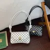 Nova Bolsa Pequena de Mão Elegante, Simples e Versátil para Mulheres, Moda de Nicho Bolsa de Ombro Transversal com Bolinhas