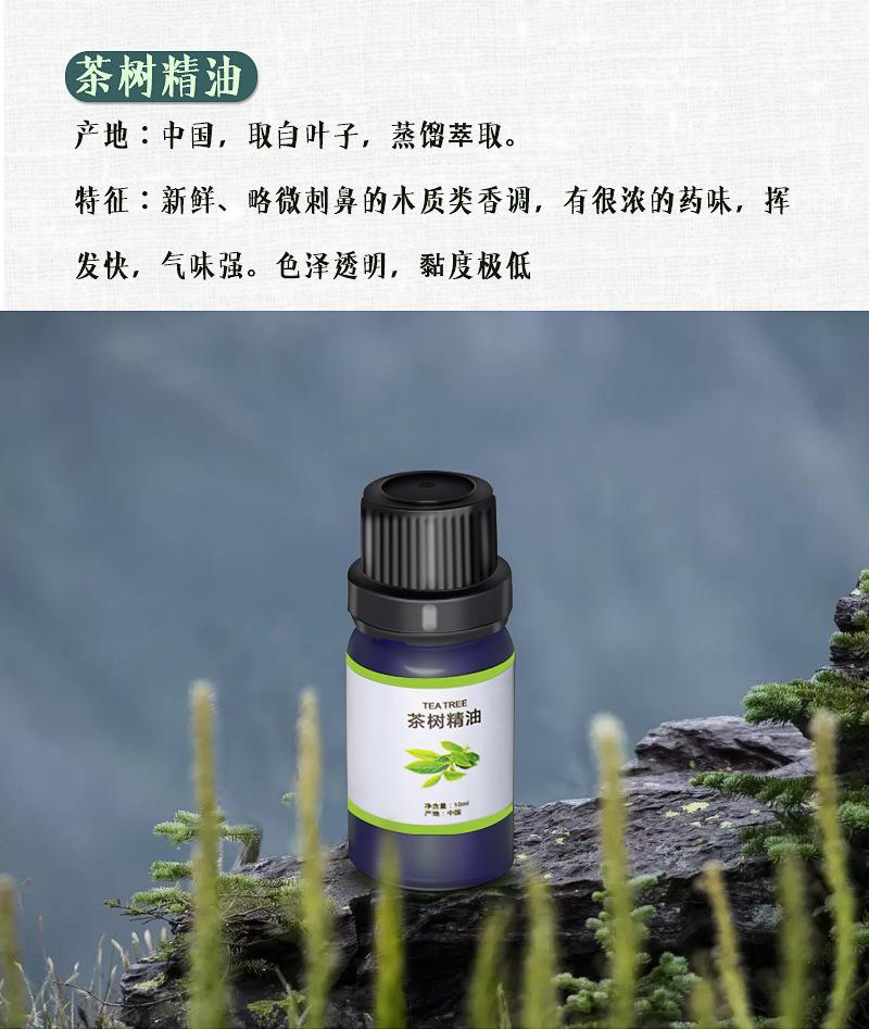 纸盒页面_06.jpg