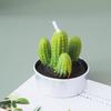 [Fiesta Carnosa] Velas creativas de planta de cactus carnoso redondo, regalo de cumpleaños, inauguración de casa, adornos de oficina